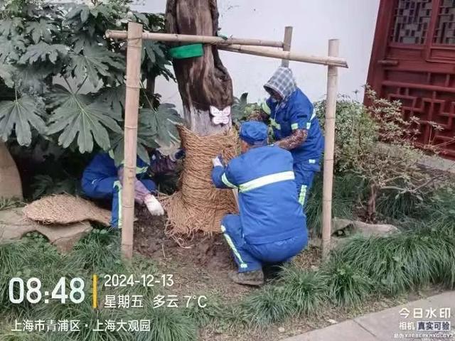 国资国企全力开启防寒潮保安全模式凯发k8网站以动制“冻”！青浦(图5)