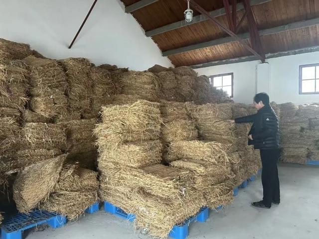 国资国企全力开启防寒潮保安全模式凯发k8网站以动制“冻”！青浦(图8)